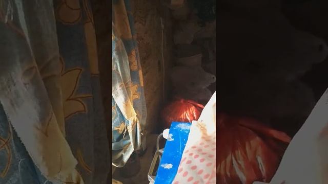 Система охлаждения для змеевика. #2 смотреть онлайн