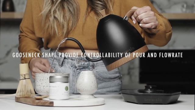 Brewista Black Artisan Kettle смотреть онлайн