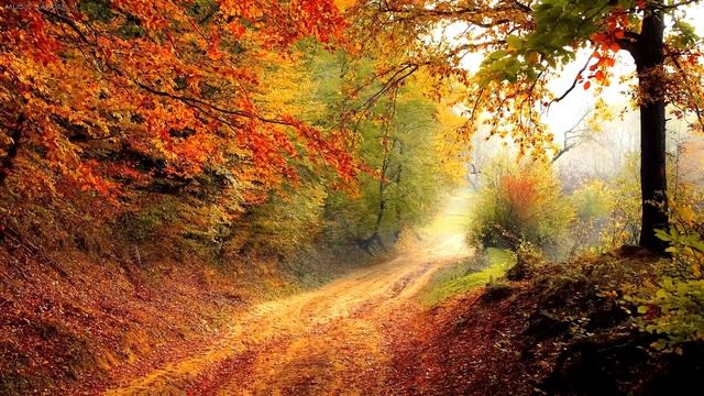Осень золотая, музыка для души.│Golden autumn, music for the soul. смотреть онлайн