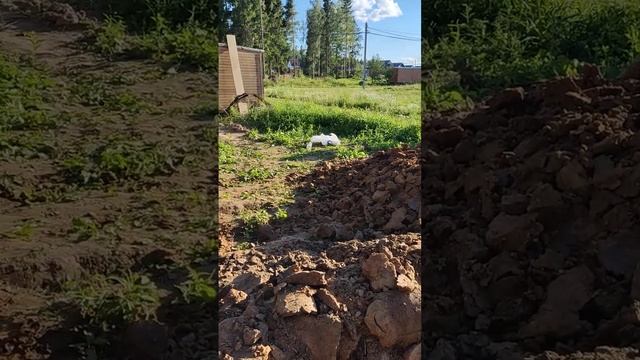 Монтаж септика Евролос про5+,ливневой системы , дренажа(soft rock),и колодца.#септик#септик под клю смотреть онлайн