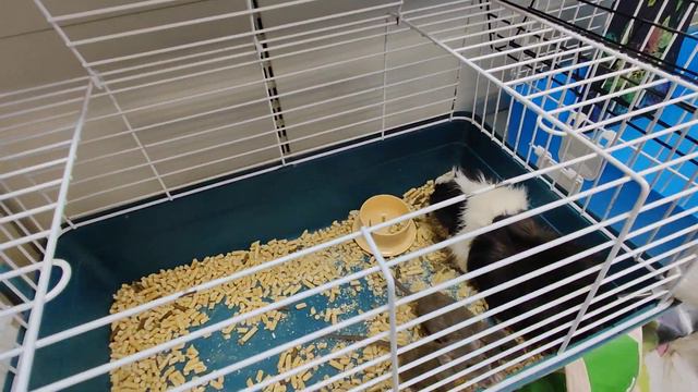 15 января 2024 г. смотреть онлайн