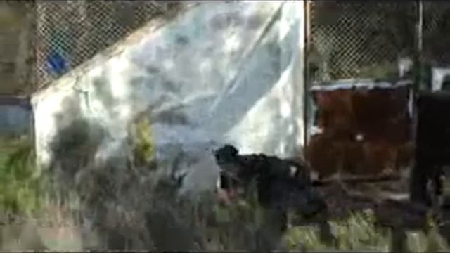 Airsoft 26-01-2008 смотреть онлайн