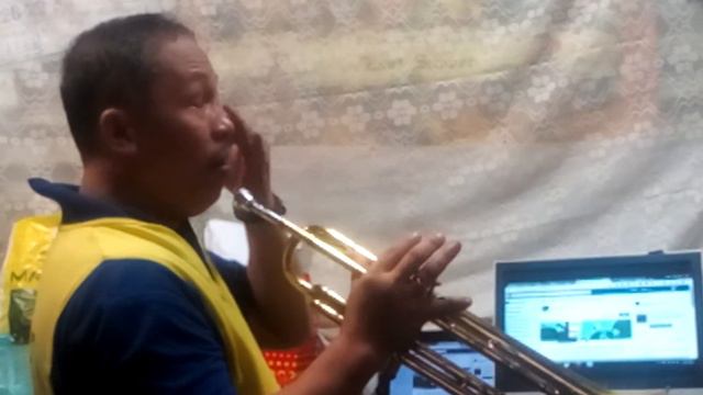 Echeveria, Jose Andry T. WONDERLAND BY NIGHT 2 смотреть онлайн