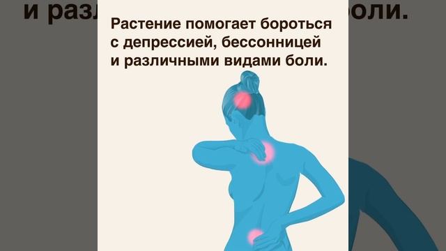 Тоже чистишь уши ватной палочкой? Тогда ты должен это знать! смотреть онлайн