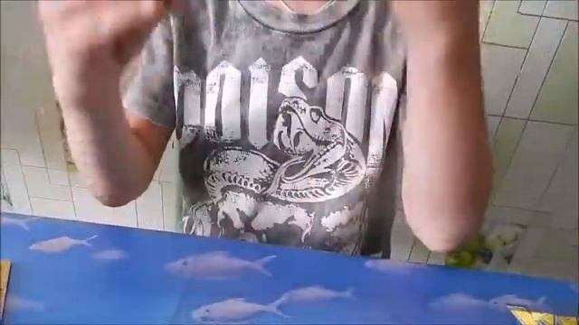 Открываем ИГУАН!!! Ложный американский хамелеон и хохлатая ящерица Эбота! смотреть онлайн