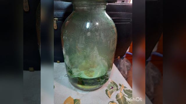 Галкин Марк , 4 б класс МБОУ "СОШ 2" г Судак, " Как прикоснуться к облаку?" смотреть онлайн