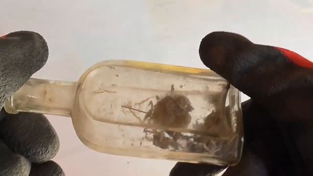 Старинные бутылки царского времени.ОБЗОРЧИК смотреть онлайн