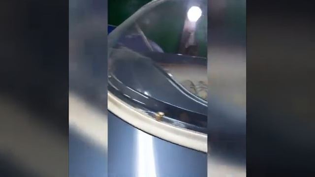 Установка лобового стекла на пластиковую лодку.Завершение работ с фурнитурой лодки. смотреть онлайн