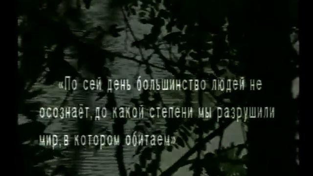 ДЕЛОВОЙ ВЕСТНИК трк"Метроном-3" от 16 10 13 смотреть онлайн