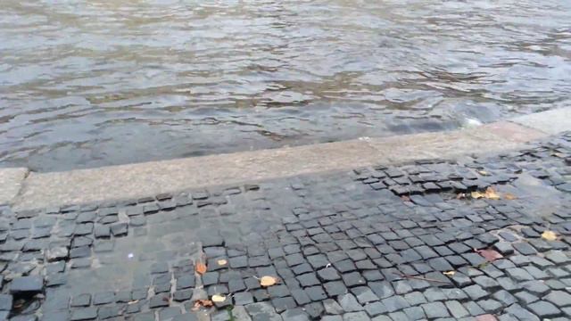 вода на фонтанке смотреть онлайн