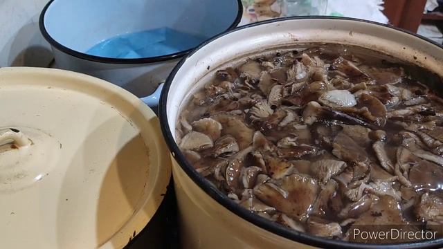 Стратегия чистоты