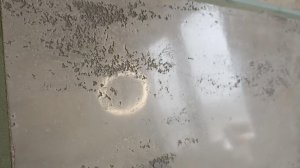 Декоративная штукатурка Травертин под Венецианкой