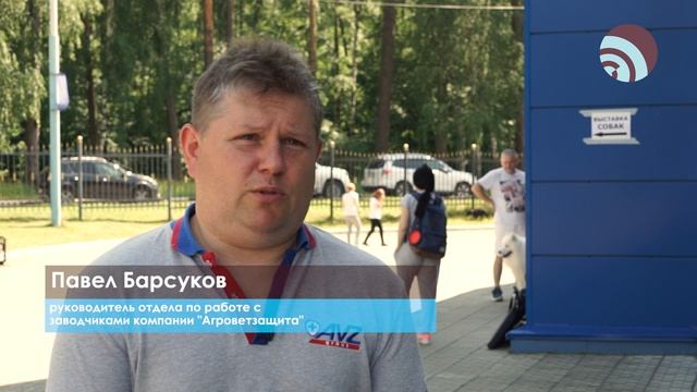 Закрытие Богородского кинологического фестиваля смотреть онлайн