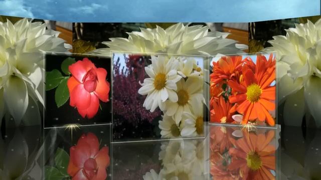 "Моя взрослая красивая дочь..." смотреть онлайн