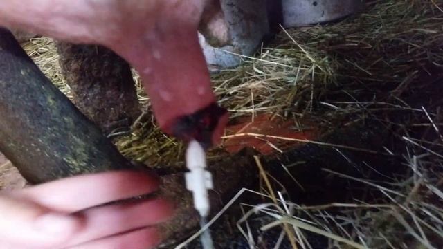 Секреты Мастера