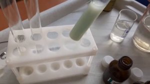 10 класс Качественные реакции на белки