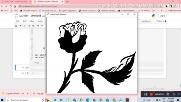b n w rose Drawing in Python || Python turtle library || Python for beginners