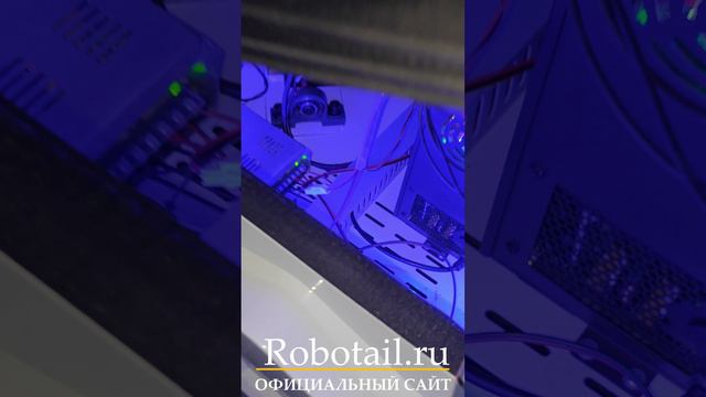 Подсветка пропала на аттракционе виртуальной реальности Сrazy Egg смотреть онлайн