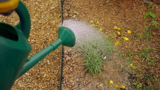 How to Use a Watering Can : Garden Tool Guides смотреть онлайн