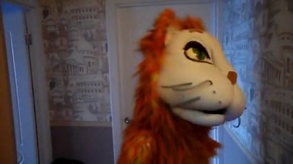 Кот Казимир