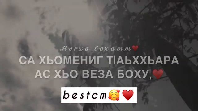 ВИДЕО ЗАСТАВЛЯЮЩАЯ ПЛАКАТЬ💔😻Са Хьомениг Т1аьххьара Ас Хьо Веза Боху смотреть онлайн