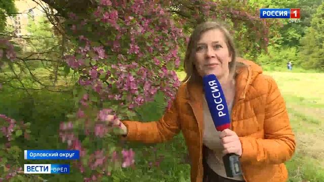 В Орловской области прошел фестиваль сирени смотреть онлайн