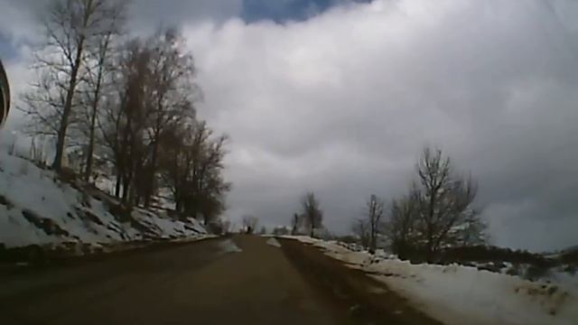 Рыба Веселится