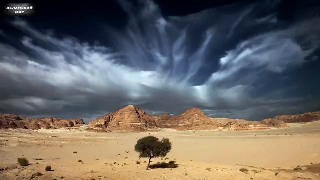 Хадис о пророке Мусе (Моисее), мир ему, и грешнике смотреть онлайн