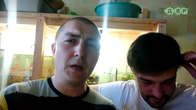 КАК МЕНЯ ХОТЕЛИ ОБМАНУТЬ/ ОБЗОР РАЗВОДНИ КОСТИ И АНОНС ИНТЕРЕСНОГО ВИДЕО! смотреть онлайн