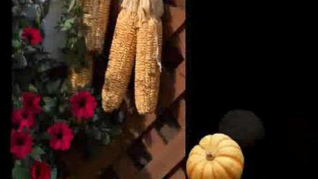 Урок Икебана (Служба Спасения Сада) смотреть онлайн