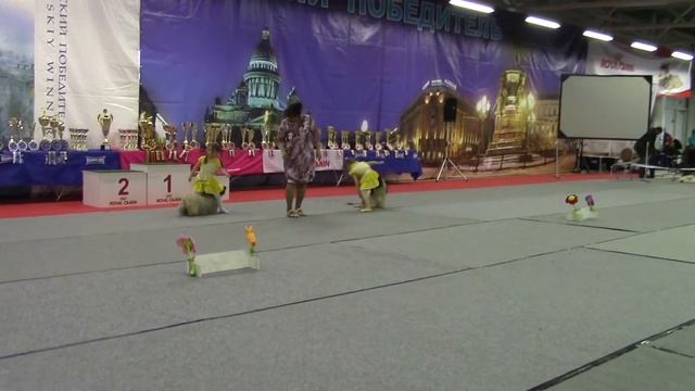 Наталия Добринская 4 танец выступление в гарден сити 12.12.15 смотреть онлайн