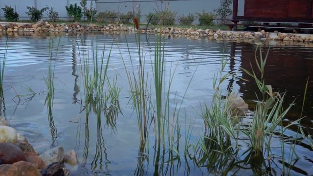 Очумелые ручки смотреть онлайн