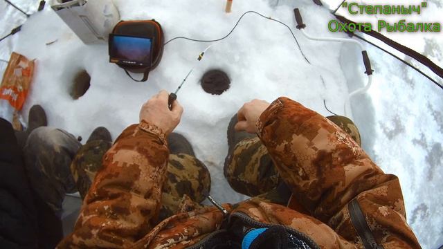 Весёлая рыбалка с Отцом 21 02 24 смотреть онлайн