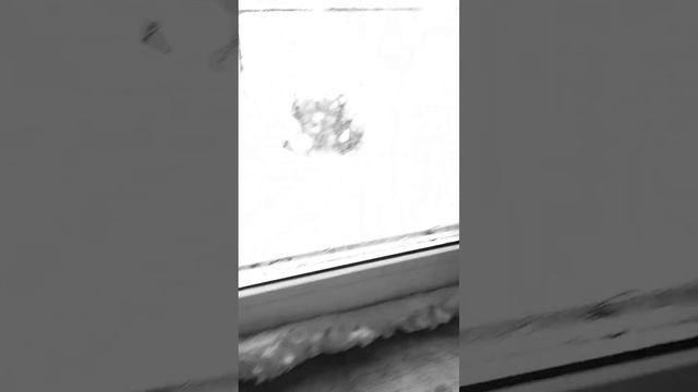 Почему ТРЕСНУЛ ДОМ ИЗ ГАЗОБЕТОНА смотреть онлайн