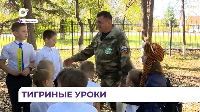 В селе Чугуевка проводят «тигриные уроки» смотреть онлайн
