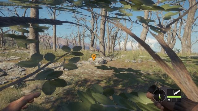 theHunter_COTW_026_Место_где_ночуют_пумы + Фото_для_альманаха смотреть онлайн