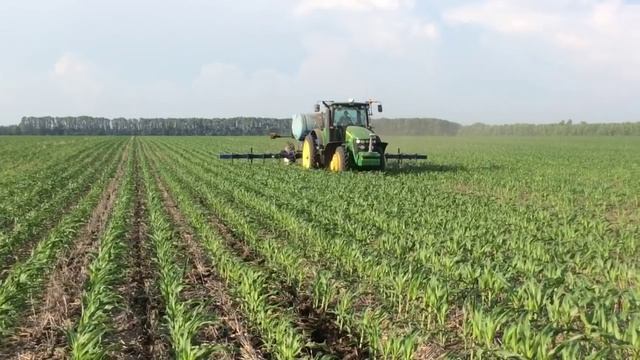 Подкормка кукурузы смотреть онлайн