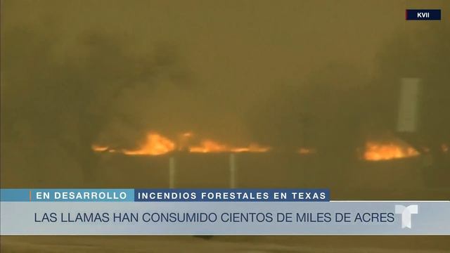 Así se ve desde el aire el voraz incendio Smokehouse Creek en Texas | Noticias Telemundo смотреть онлайн