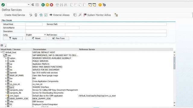 Access SAP ECC through WEBGUI смотреть онлайн