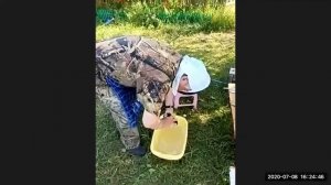 Выделка шкурки соболя. Запись онлайн мастер-класса через Zoom