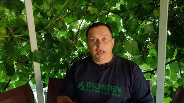 Чем экскурсия отличается от лекции. Почему это нужно знать экскурсоводу. смотреть онлайн