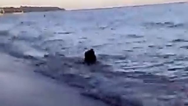 Урзуф море2012 смотреть онлайн