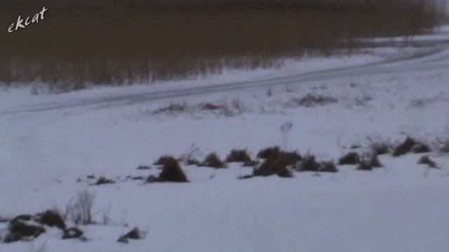 Попытки вытащить Мерседес на лёд.