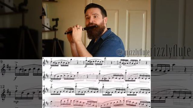 GRIZZLYFLUTE // Study No. 15 by Louis Drouet, performed on piccolo. смотреть онлайн