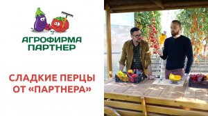 СЛАДКИЕ ПЕРЦЫ ОТ "ПАРТНЕРА"