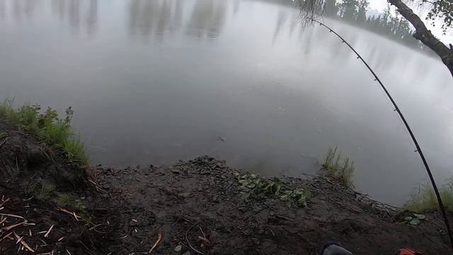(LIVE) Chinook Salmon fishing in Alaska! смотреть онлайн