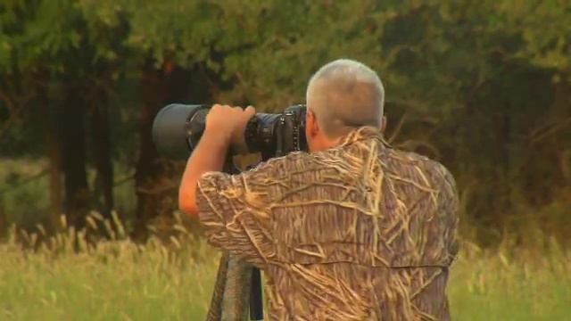 Wildlife Photography with George Barnett and Pennington Seed смотреть онлайн