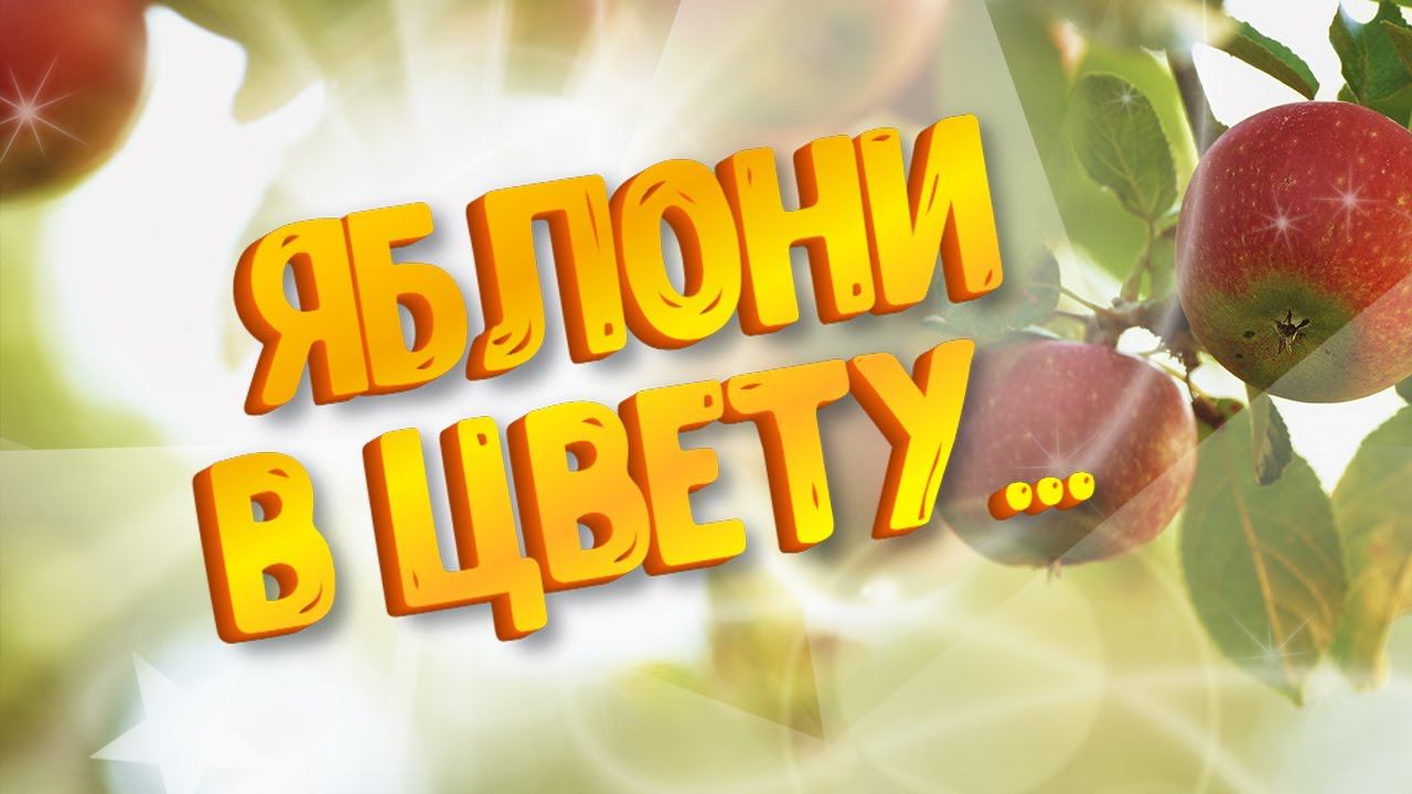 ЯБЛОНИ В ЦВЕТУ ♫♬ ТАНЦЕВАЛЬНЫЙ ХИТ ЛЕТА ♫♬ гр. SEVENROSE и Алевтина Бердникова смотреть онлайн