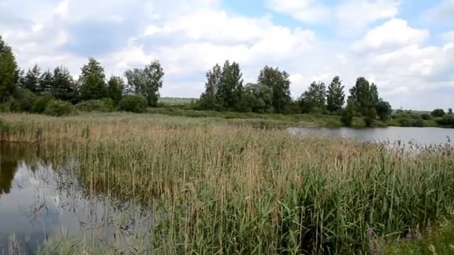 Егорьевский рыбхоз. смотреть онлайн