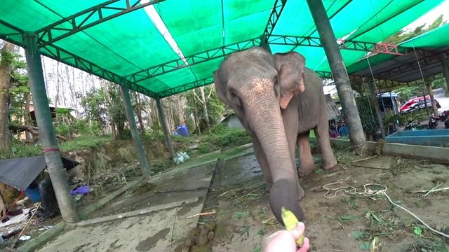 ЧТО ИНТЕРЕСНОГО НА ПХУКЕТЕ? Места, которые точно нужно посетить смотреть онлайн